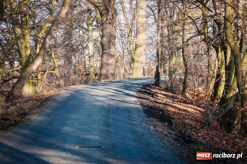 Zdjęcie w galerii na portalu naszraciborz.pl: Ścieżki w Łężczoku zostały już odnowione  wiadomości z regionu
