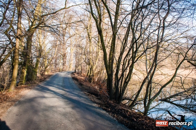 Zdjęcie w galerii na portalu naszraciborz.pl: Ścieżki w Łężczoku zostały już odnowione  wiadomości z regionu