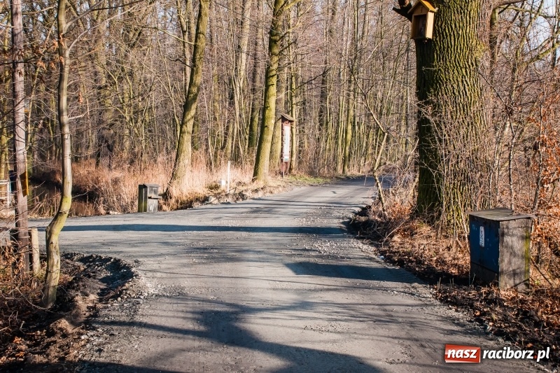 Zdjęcie w galerii na portalu naszraciborz.pl: Ścieżki w Łężczoku zostały już odnowione  wiadomości z regionu