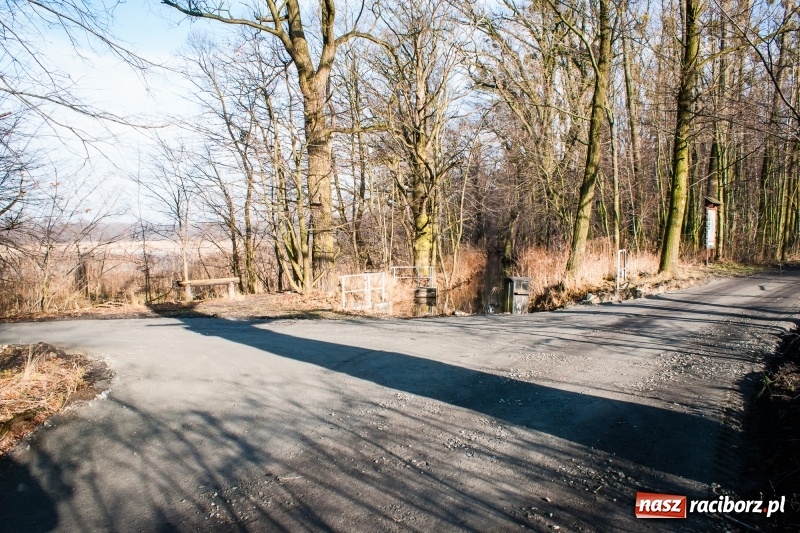 Zdjęcie w galerii na portalu naszraciborz.pl: Ścieżki w Łężczoku zostały już odnowione  wiadomości z regionu