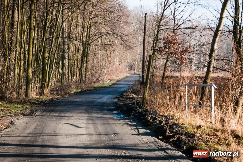 Zdjęcie w galerii na portalu naszraciborz.pl: Ścieżki w Łężczoku zostały już odnowione  wiadomości z regionu