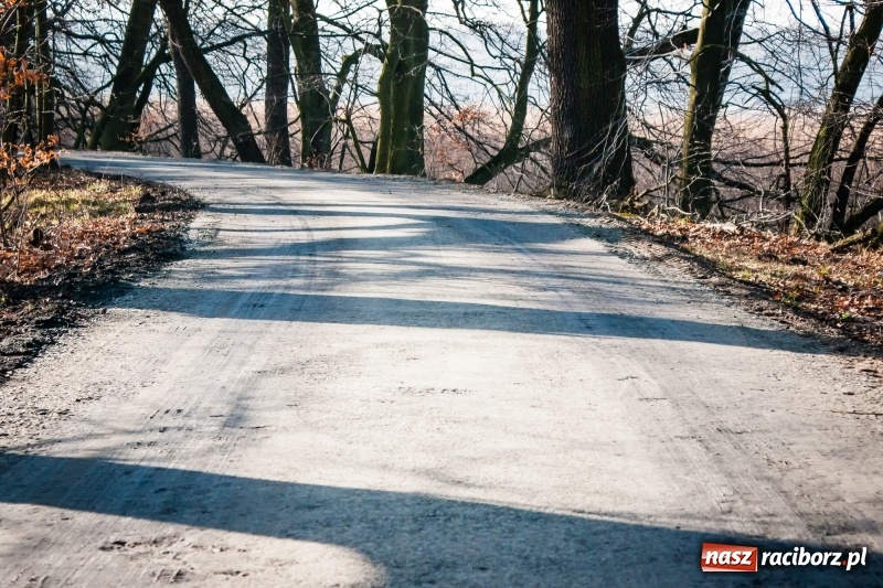 Zdjęcie w galerii na portalu naszraciborz.pl: Ścieżki w Łężczoku zostały już odnowione  wiadomości z regionu