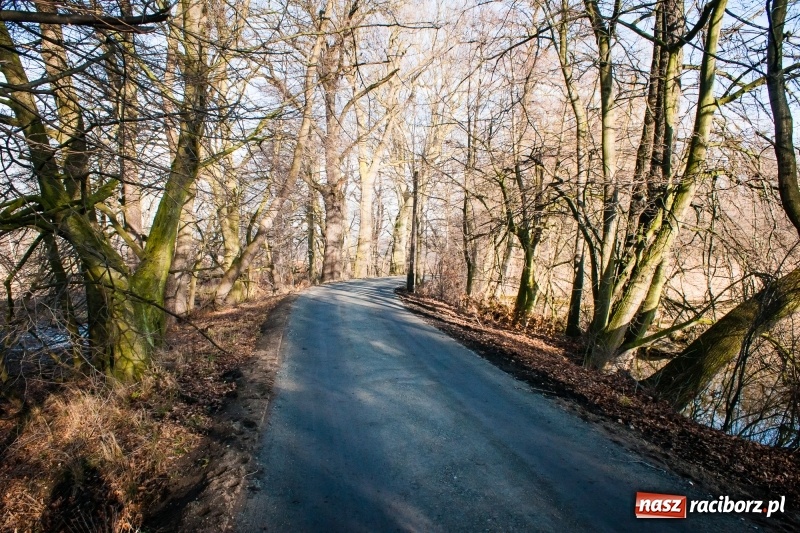 Zdjęcie w galerii na portalu naszraciborz.pl: Ścieżki w Łężczoku zostały już odnowione  wiadomości z regionu