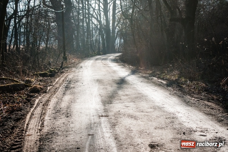 Zdjęcie w galerii na portalu naszraciborz.pl: Ścieżki w Łężczoku zostały już odnowione  wiadomości z regionu