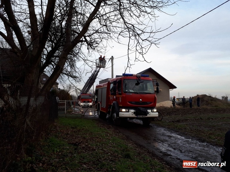 Zdjęcie w galerii na portalu naszraciborz.pl: Pożar domu przy ul. Górnośląskiej w Raciborzu  wiadomości z regionu