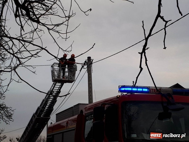 Zdjęcie w galerii na portalu naszraciborz.pl: Pożar domu przy ul. Górnośląskiej w Raciborzu  wiadomości z regionu
