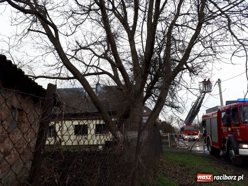 Zdjęcie w galerii na portalu naszraciborz.pl: Pożar domu przy ul. Górnośląskiej w Raciborzu  wiadomości z regionu
