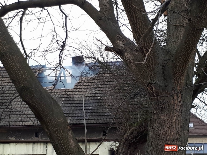 Zdjęcie w galerii na portalu naszraciborz.pl: Pożar domu przy ul. Górnośląskiej w Raciborzu  wiadomości z regionu