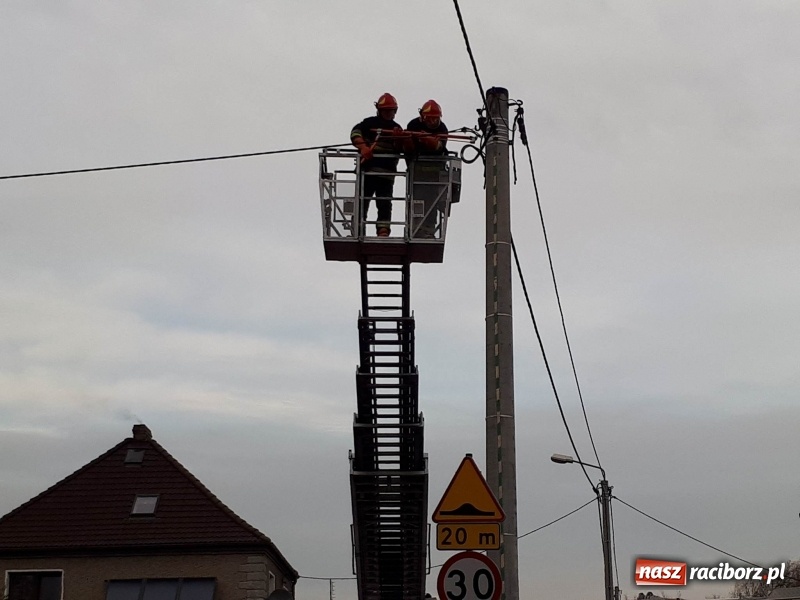 Zdjęcie w galerii na portalu naszraciborz.pl: Pożar domu przy ul. Górnośląskiej w Raciborzu  wiadomości z regionu