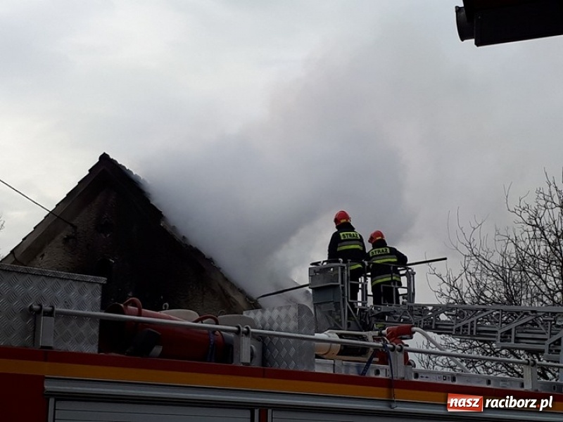 Zdjęcie w galerii na portalu naszraciborz.pl: Pożar domu przy ul. Górnośląskiej w Raciborzu  wiadomości z regionu