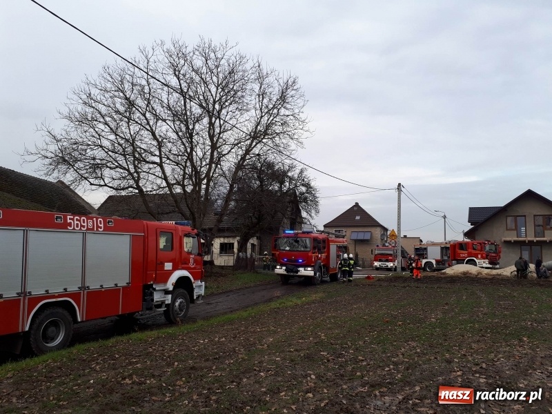 Zdjęcie w galerii na portalu naszraciborz.pl: Pożar domu przy ul. Górnośląskiej w Raciborzu  wiadomości z regionu