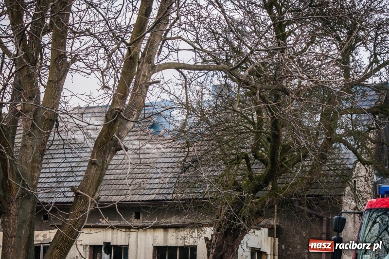 Zdjęcie w galerii na portalu naszraciborz.pl: Pożar domu przy ul. Górnośląskiej w Raciborzu  wiadomości z regionu