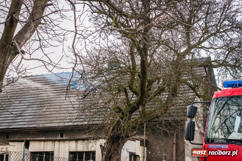 Zdjęcie w galerii na portalu naszraciborz.pl: Pożar domu przy ul. Górnośląskiej w Raciborzu  wiadomości z regionu
