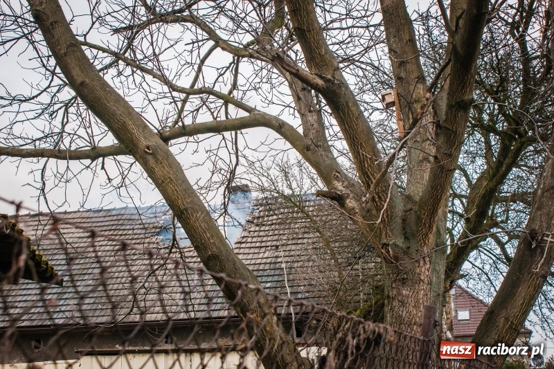 Zdjęcie w galerii na portalu naszraciborz.pl: Pożar domu przy ul. Górnośląskiej w Raciborzu  wiadomości z regionu