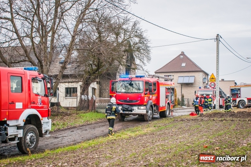 Zdjęcie w galerii na portalu naszraciborz.pl: Pożar domu przy ul. Górnośląskiej w Raciborzu  wiadomości z regionu