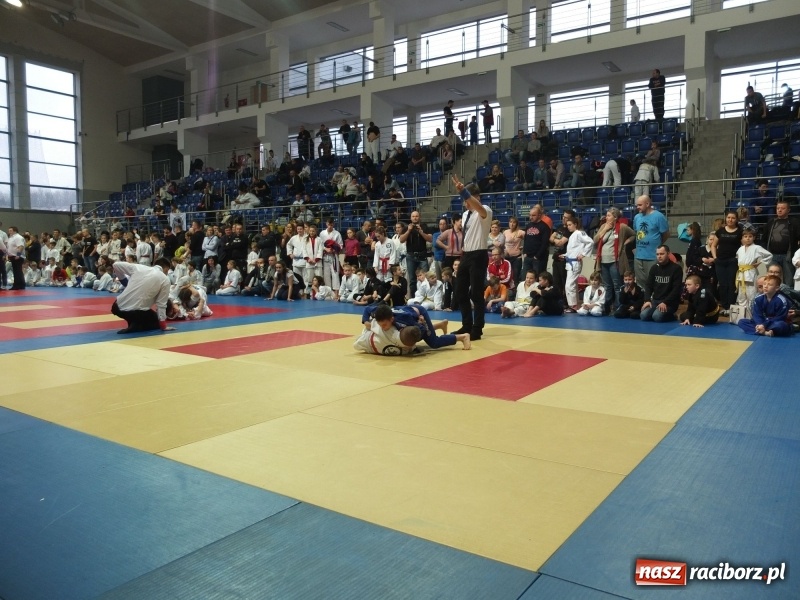 Zdjęcie w galerii na portalu naszraciborz.pl: Grad medali młodych Łamatorów w Katowicach wiadomości z regionu