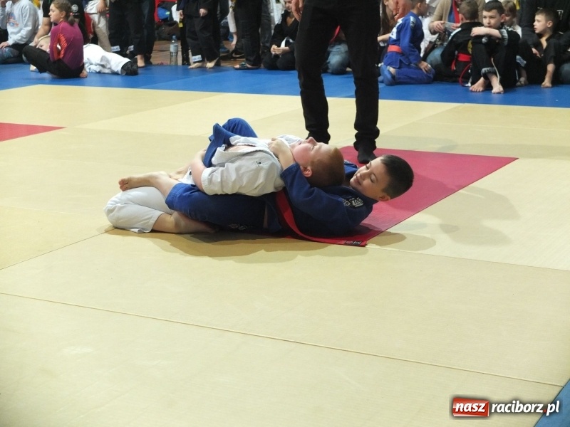 Zdjęcie w galerii na portalu naszraciborz.pl: Grad medali młodych Łamatorów w Katowicach wiadomości z regionu