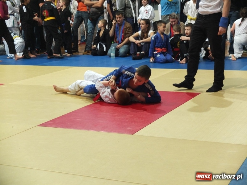 Zdjęcie w galerii na portalu naszraciborz.pl: Grad medali młodych Łamatorów w Katowicach wiadomości z regionu