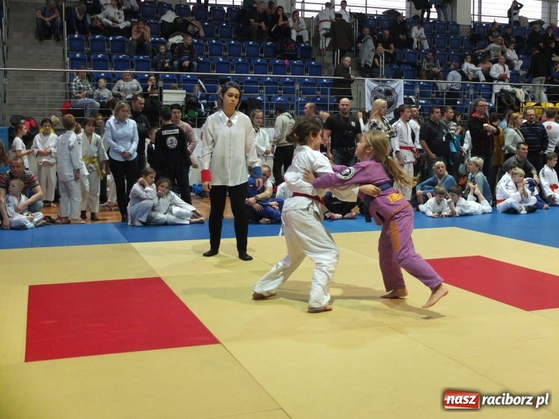 Zdjęcie w galerii na portalu naszraciborz.pl: Grad medali młodych Łamatorów w Katowicach wiadomości z regionu