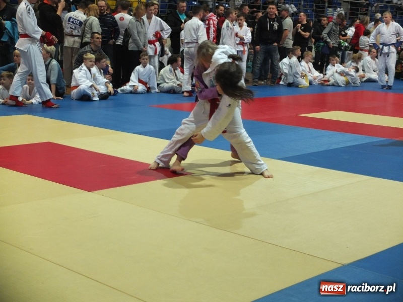 Zdjęcie w galerii na portalu naszraciborz.pl: Grad medali młodych Łamatorów w Katowicach wiadomości z regionu