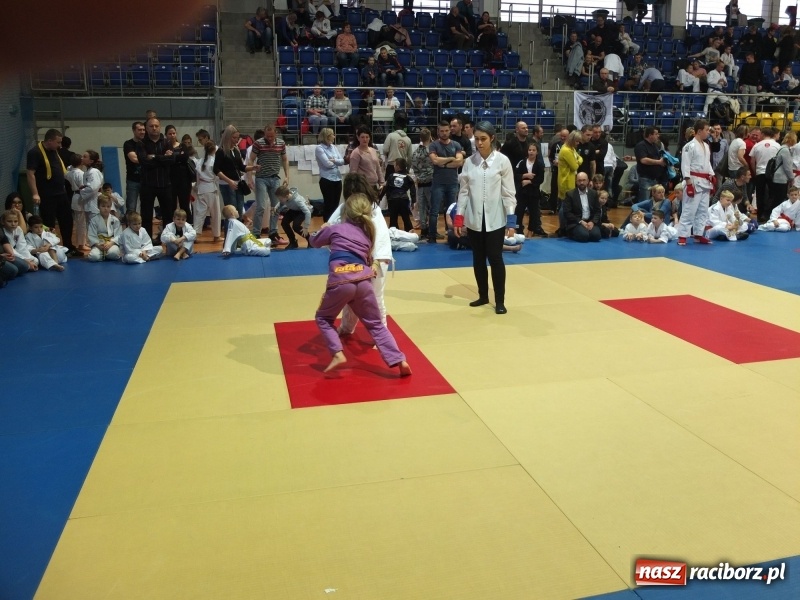 Zdjęcie w galerii na portalu naszraciborz.pl: Grad medali młodych Łamatorów w Katowicach wiadomości z regionu