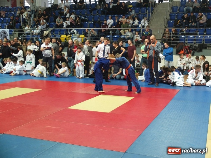 Zdjęcie w galerii na portalu naszraciborz.pl: Grad medali młodych Łamatorów w Katowicach wiadomości z regionu