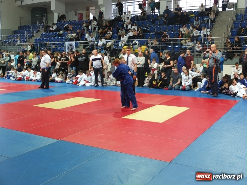 Zdjęcie w galerii na portalu naszraciborz.pl: Grad medali młodych Łamatorów w Katowicach wiadomości z regionu