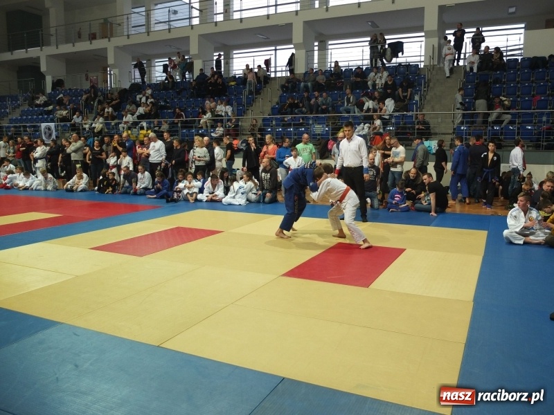 Zdjęcie w galerii na portalu naszraciborz.pl: Grad medali młodych Łamatorów w Katowicach wiadomości z regionu