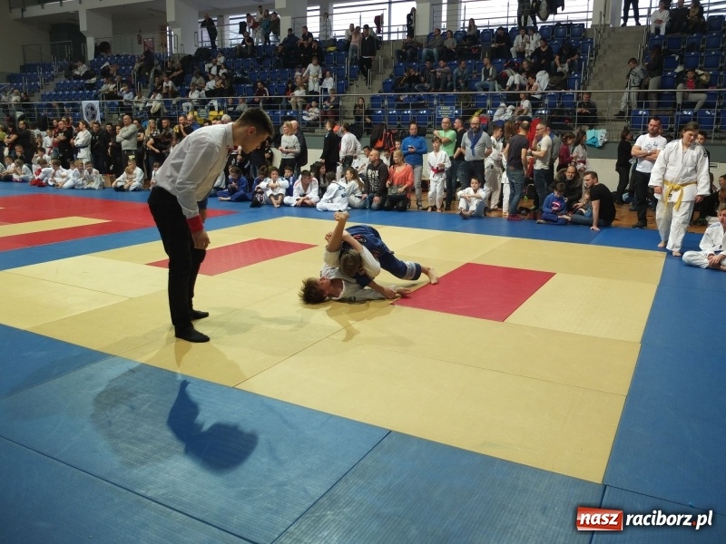 Zdjęcie w galerii na portalu naszraciborz.pl: Grad medali młodych Łamatorów w Katowicach wiadomości z regionu