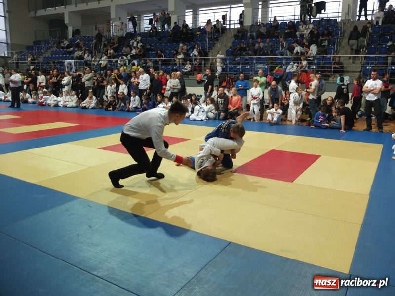 Zdjęcie w galerii na portalu naszraciborz.pl: Grad medali młodych Łamatorów w Katowicach wiadomości z regionu