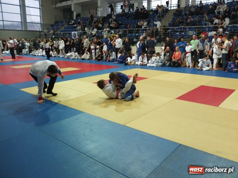 Zdjęcie w galerii na portalu naszraciborz.pl: Grad medali młodych Łamatorów w Katowicach wiadomości z regionu