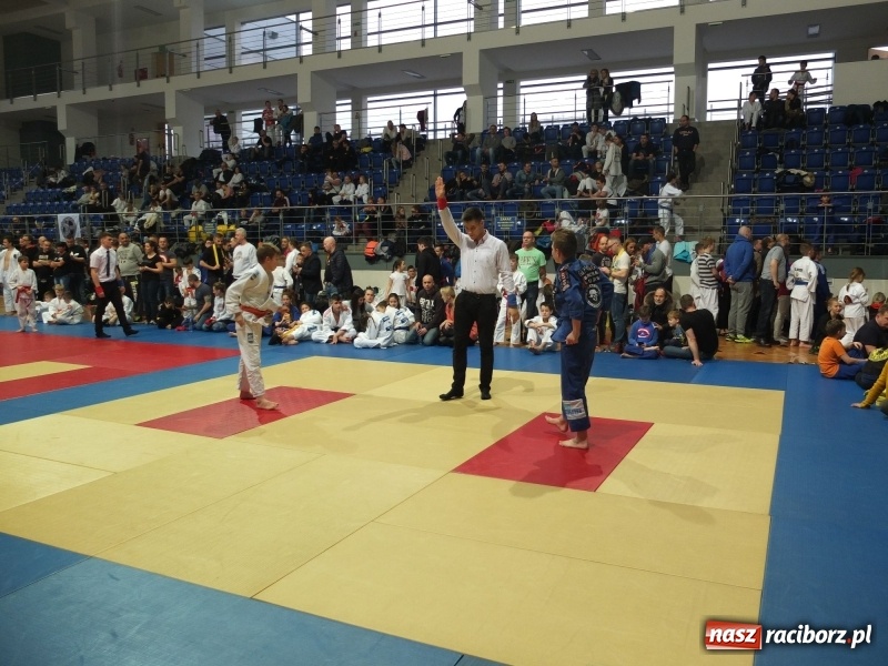 Zdjęcie w galerii na portalu naszraciborz.pl: Grad medali młodych Łamatorów w Katowicach wiadomości z regionu