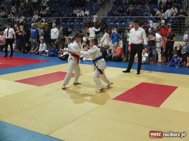 Zdjęcie w galerii na portalu naszraciborz.pl: Grad medali młodych Łamatorów w Katowicach wiadomości z regionu