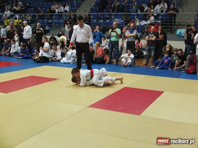 Zdjęcie w galerii na portalu naszraciborz.pl: Grad medali młodych Łamatorów w Katowicach wiadomości z regionu