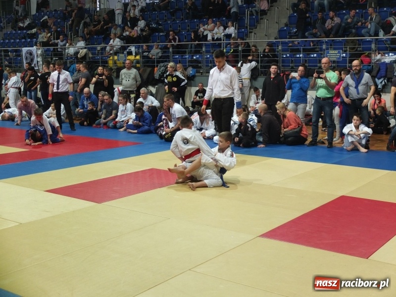 Zdjęcie w galerii na portalu naszraciborz.pl: Grad medali młodych Łamatorów w Katowicach wiadomości z regionu