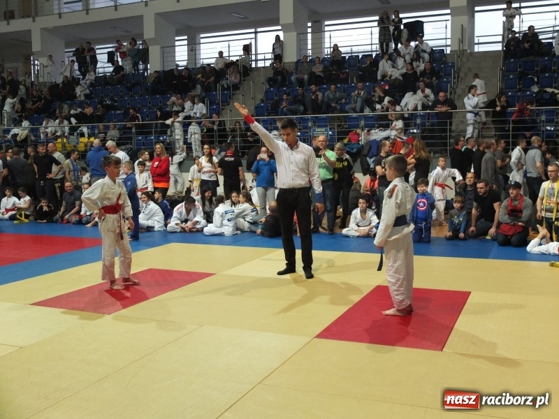 Zdjęcie w galerii na portalu naszraciborz.pl: Grad medali młodych Łamatorów w Katowicach wiadomości z regionu