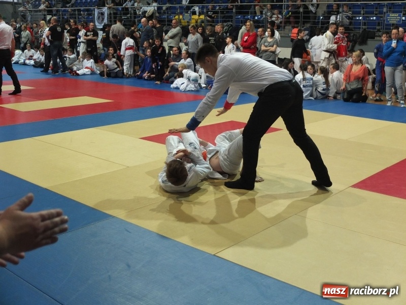 Zdjęcie w galerii na portalu naszraciborz.pl: Grad medali młodych Łamatorów w Katowicach wiadomości z regionu