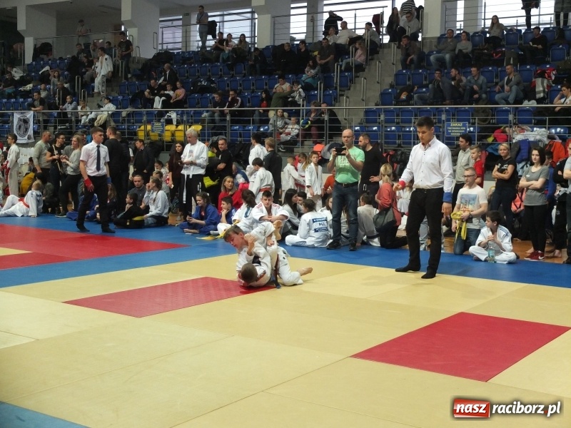 Zdjęcie w galerii na portalu naszraciborz.pl: Grad medali młodych Łamatorów w Katowicach wiadomości z regionu