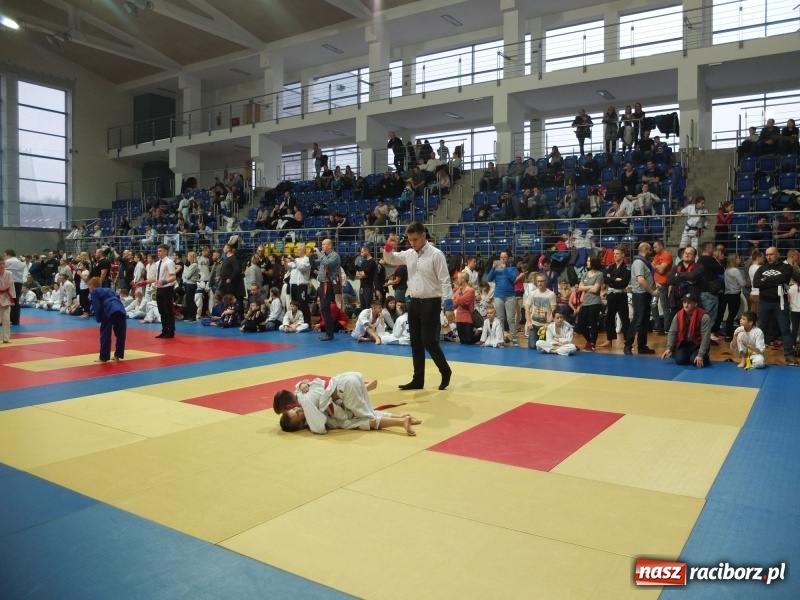 Zdjęcie w galerii na portalu naszraciborz.pl: Grad medali młodych Łamatorów w Katowicach wiadomości z regionu