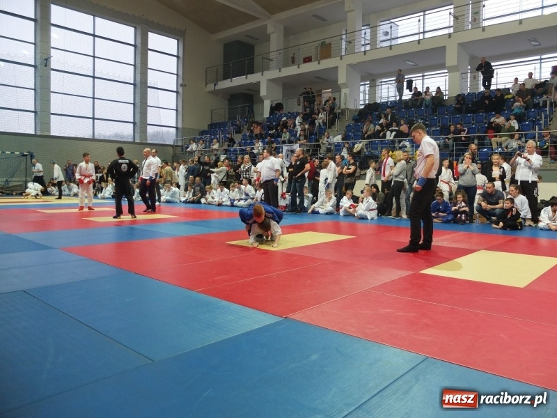 Zdjęcie w galerii na portalu naszraciborz.pl: Grad medali młodych Łamatorów w Katowicach wiadomości z regionu