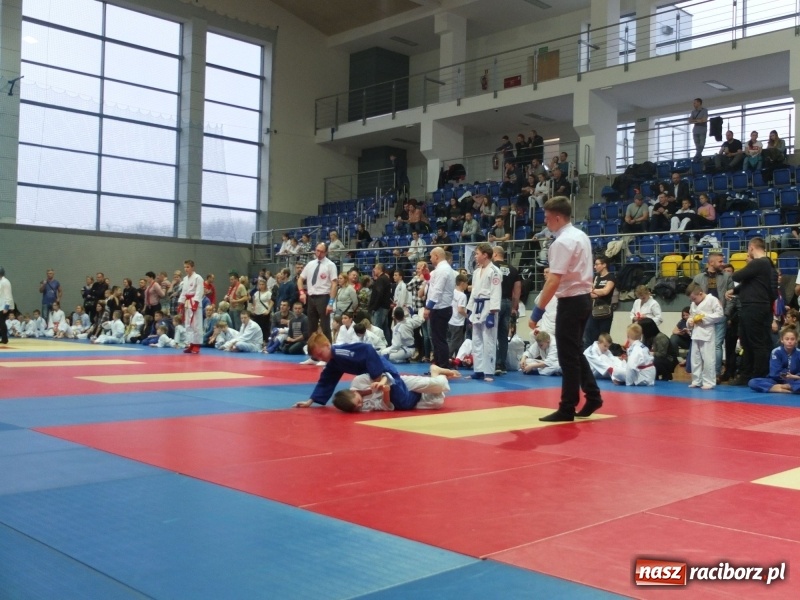 Zdjęcie w galerii na portalu naszraciborz.pl: Grad medali młodych Łamatorów w Katowicach wiadomości z regionu