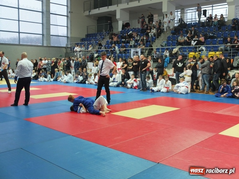 Zdjęcie w galerii na portalu naszraciborz.pl: Grad medali młodych Łamatorów w Katowicach wiadomości z regionu