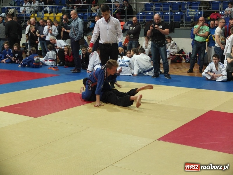 Zdjęcie w galerii na portalu naszraciborz.pl: Grad medali młodych Łamatorów w Katowicach wiadomości z regionu