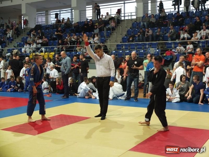 Zdjęcie w galerii na portalu naszraciborz.pl: Grad medali młodych Łamatorów w Katowicach wiadomości z regionu