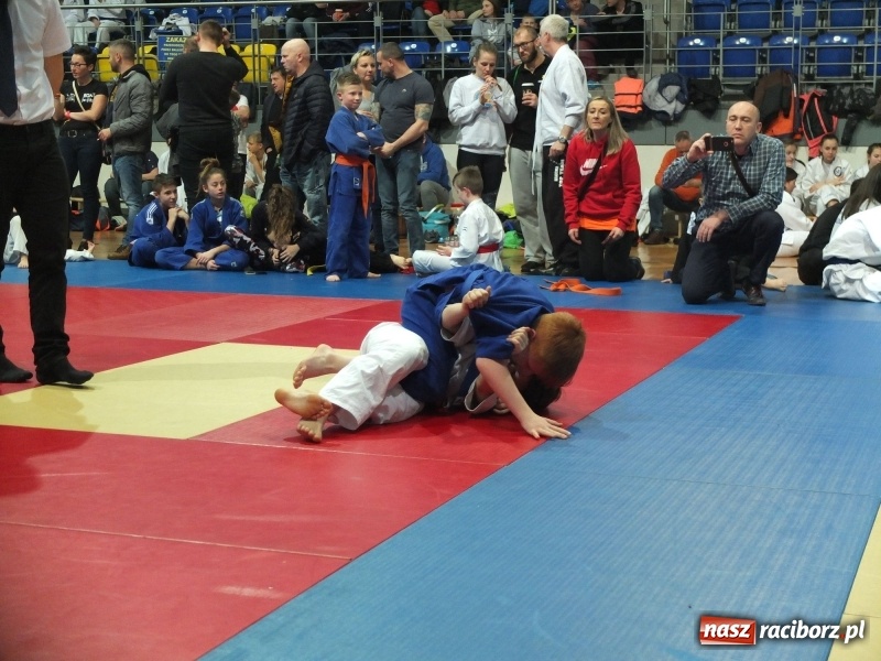 Zdjęcie w galerii na portalu naszraciborz.pl: Grad medali młodych Łamatorów w Katowicach wiadomości z regionu