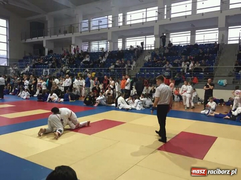 Zdjęcie w galerii na portalu naszraciborz.pl: Grad medali młodych Łamatorów w Katowicach wiadomości z regionu