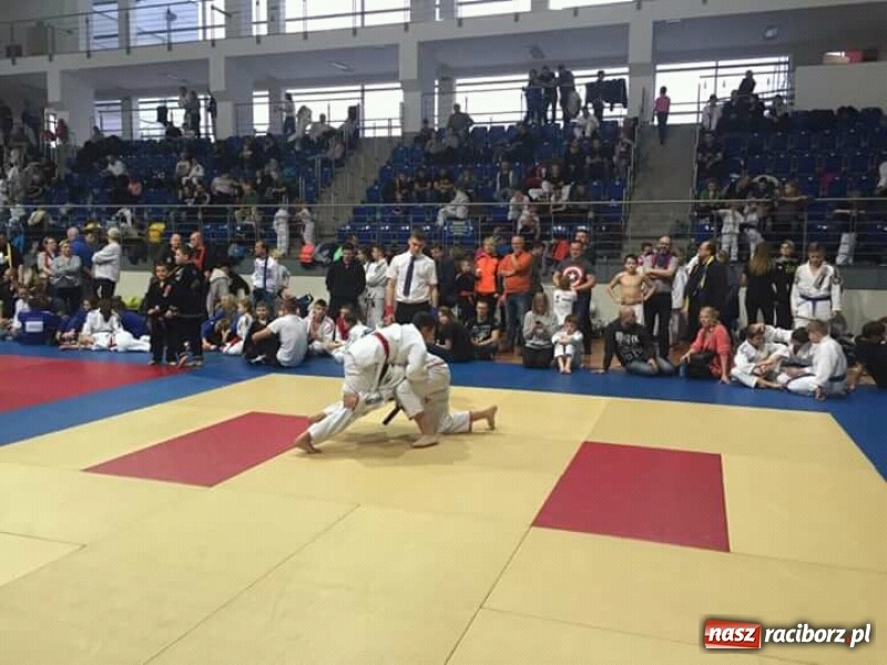 Zdjęcie w galerii na portalu naszraciborz.pl: Grad medali młodych Łamatorów w Katowicach wiadomości z regionu