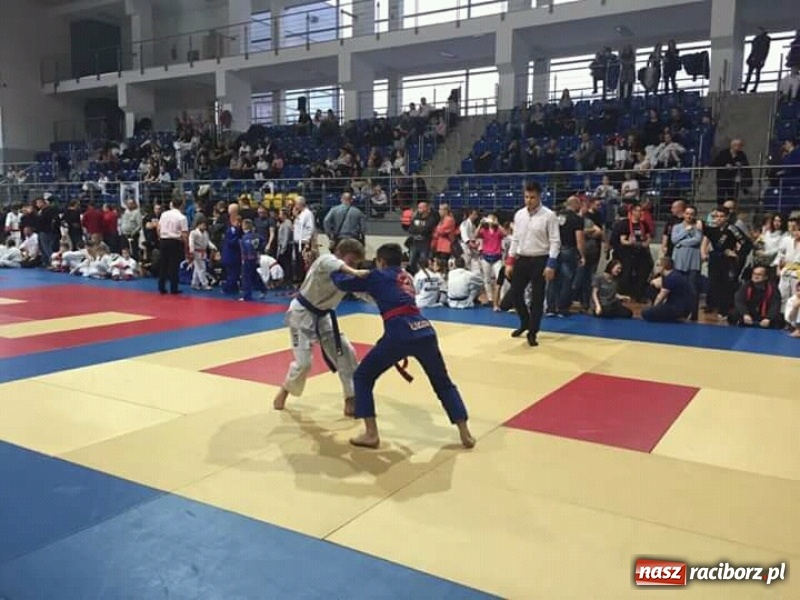 Zdjęcie w galerii na portalu naszraciborz.pl: Grad medali młodych Łamatorów w Katowicach wiadomości z regionu