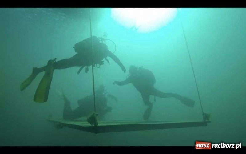 Zdjęcie w galerii na portalu naszraciborz.pl: Chcesz zostać płetwonurkiem? A może marzy Ci się Aikido? Teraz to możliwe! wiadomości z regionu