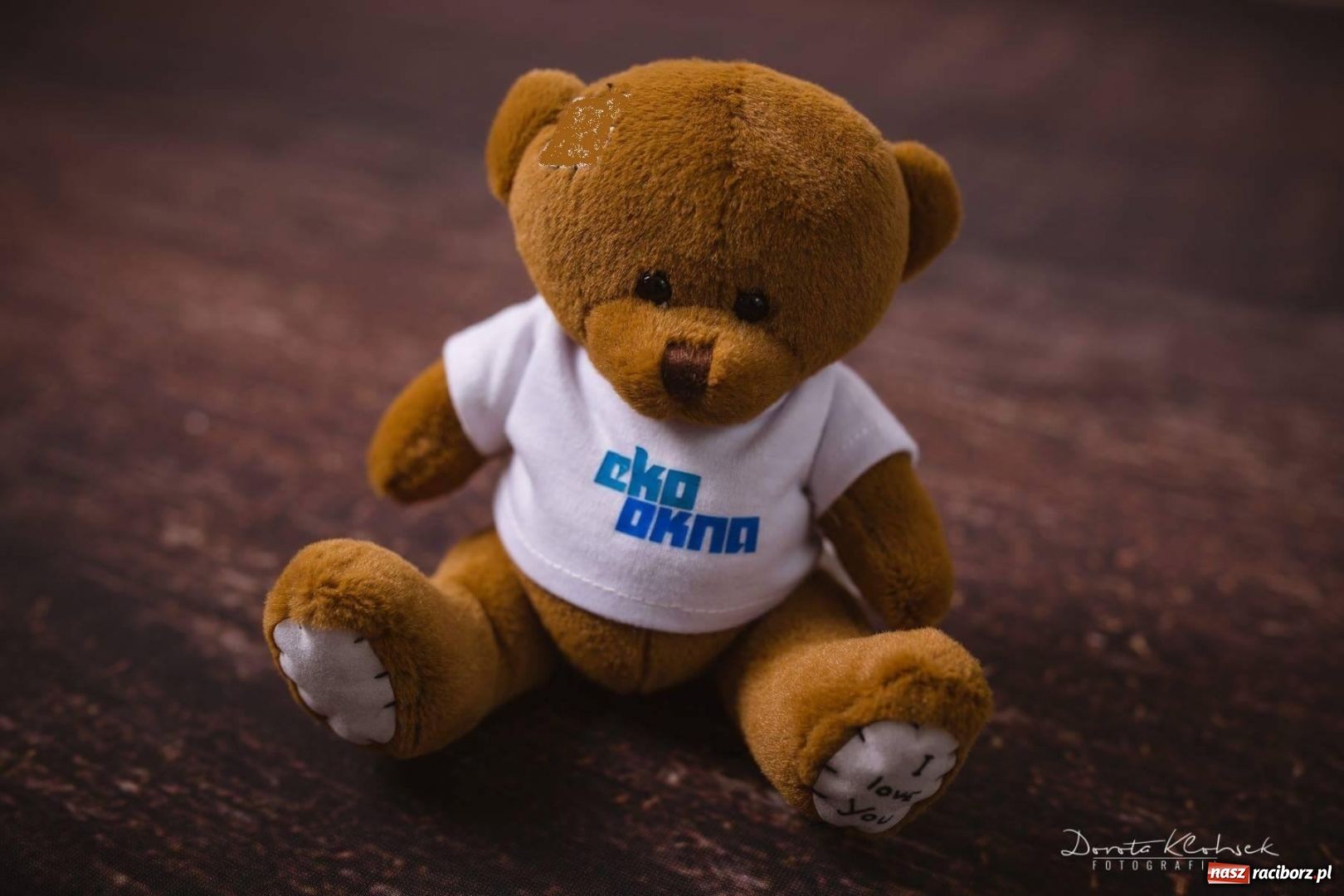 Zdjęcie w galerii na portalu naszraciborz.pl: Agencja na zamku ogłosiła przetarg na najem lokalu wiadomości z regionu